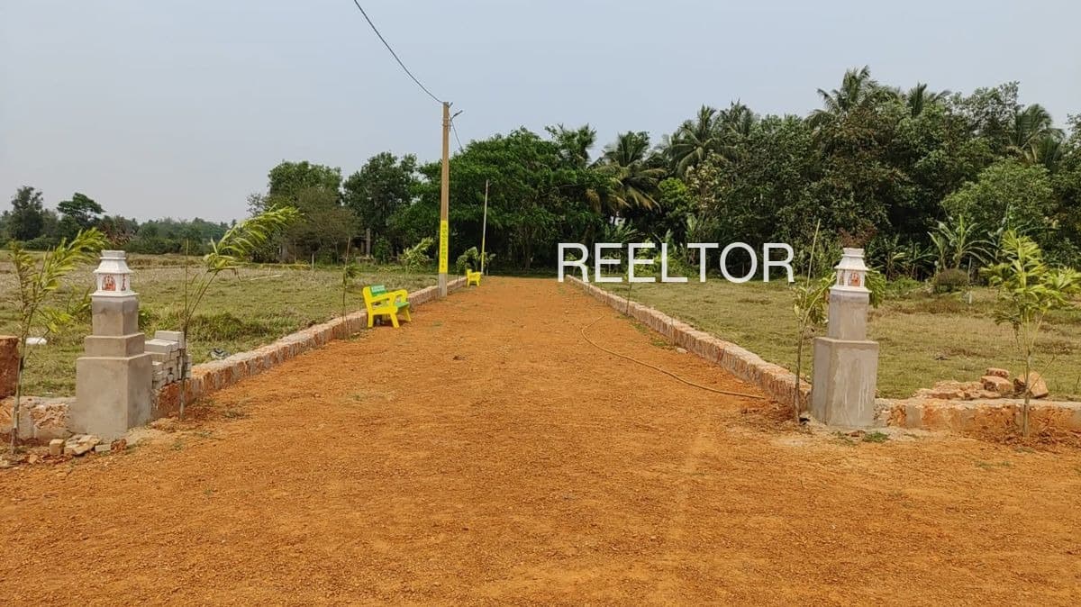 Plot For Sale In Telangana