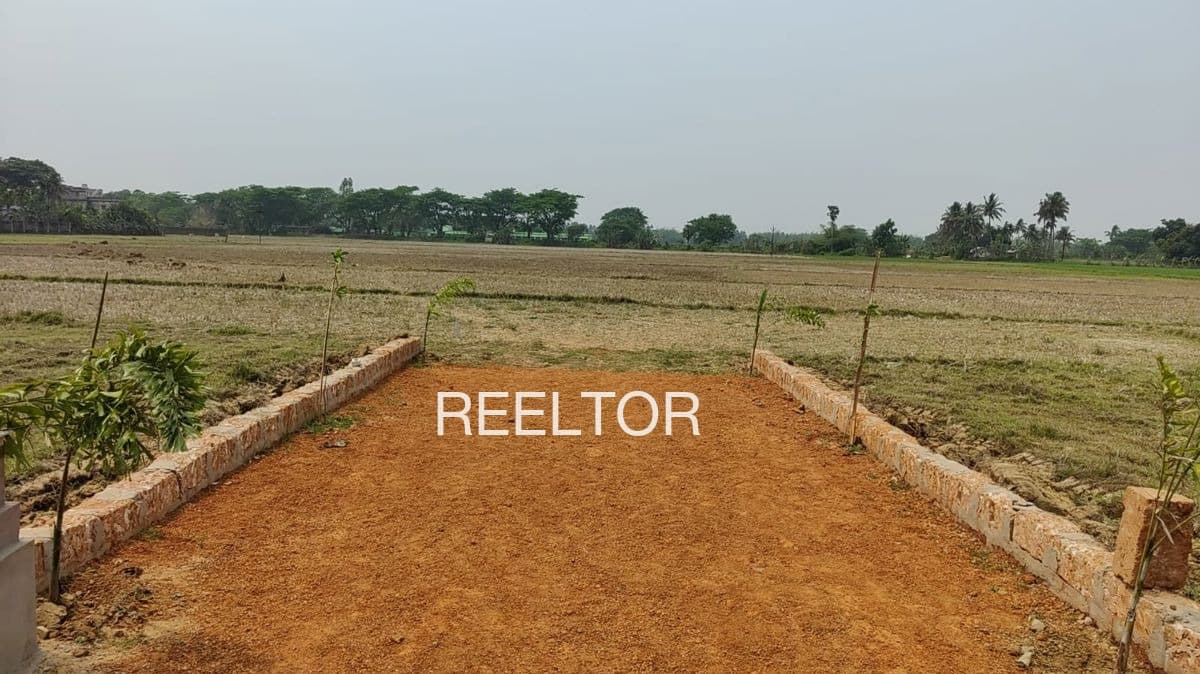 Plot For Sale In Telangana
