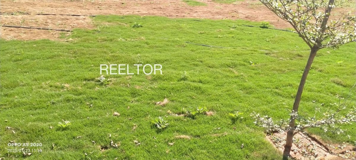 Plot For Sale In Telangana