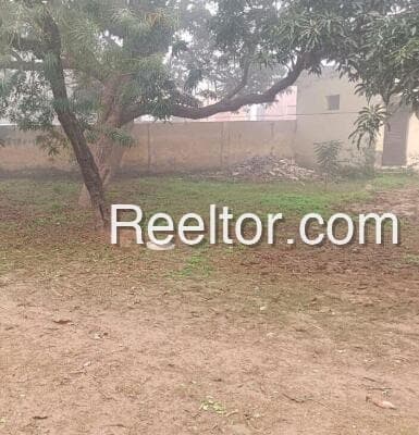 Plot For Sale In Bengaluru