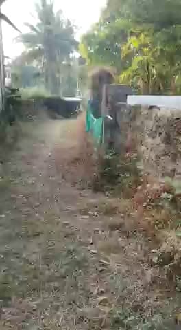 Villa For Sale In Kharla Tikar