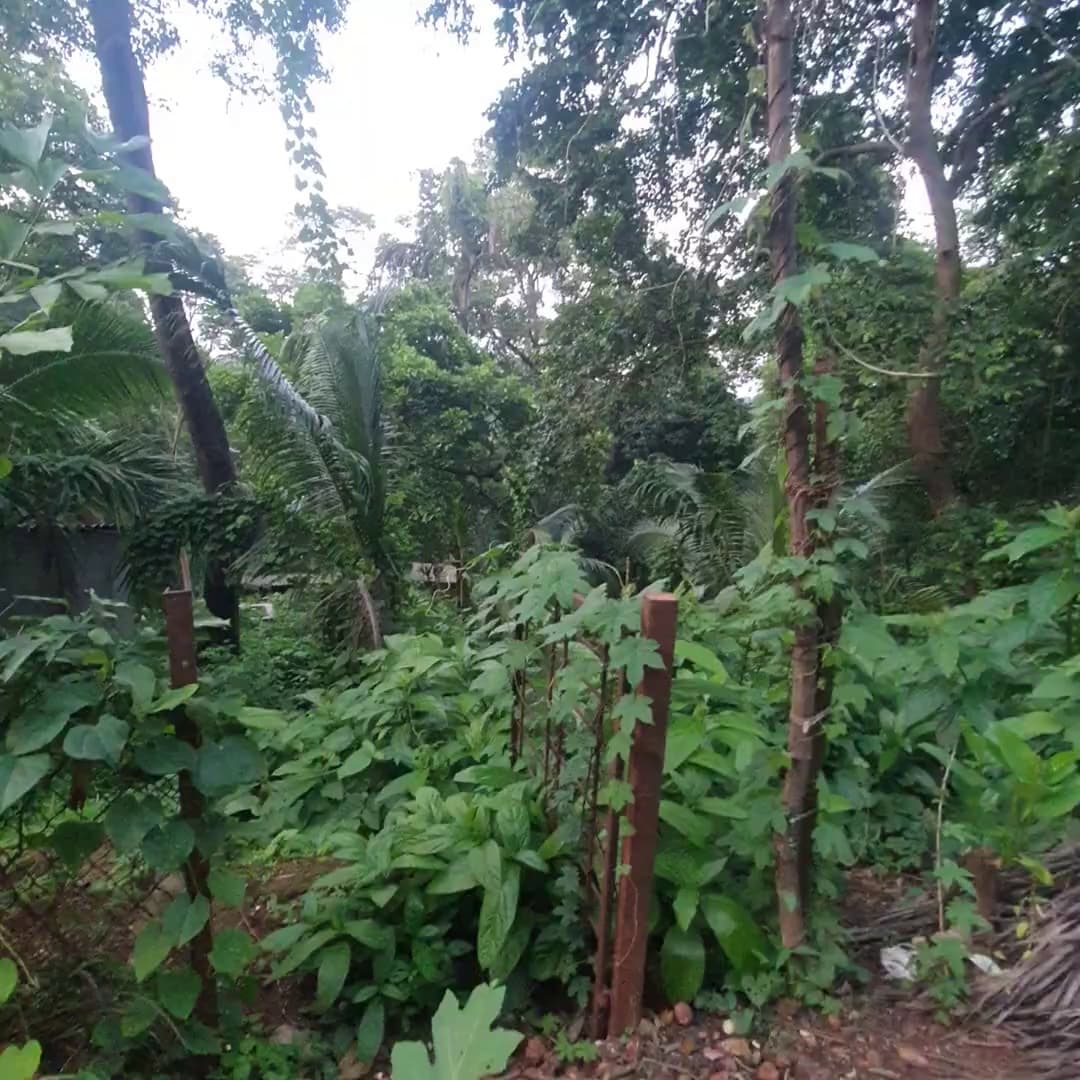 Villa For Sale In Kharla Tikar